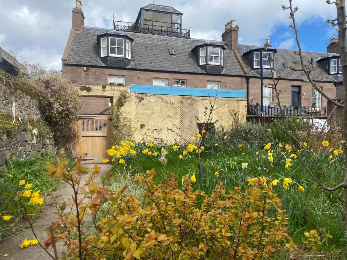 Bamse B&B Montrose Exterior foto